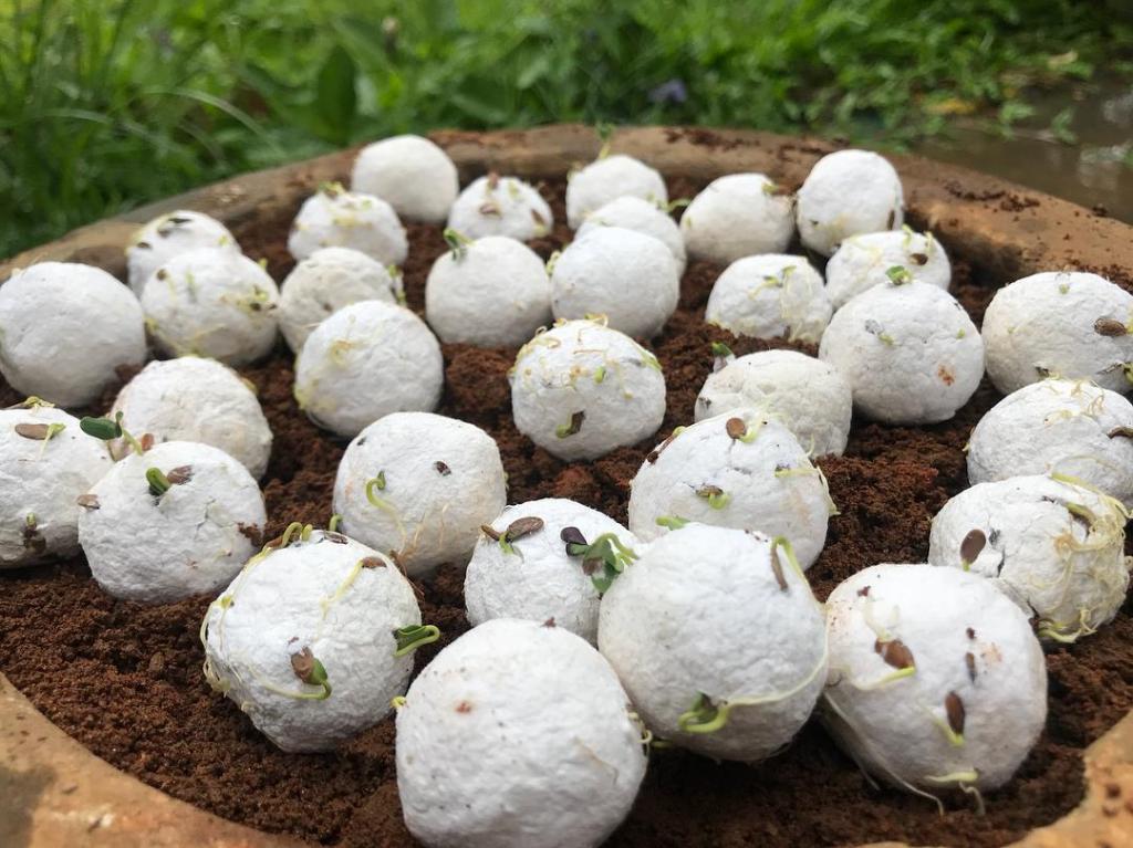 Jovem cria máscaras que viram flores quando descartadas