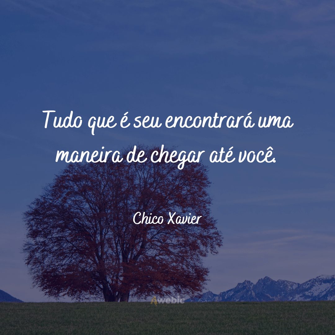 Frases de Chico Xavier