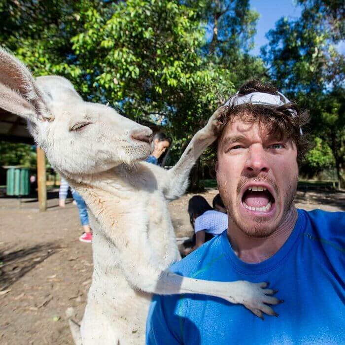 Fotógrafo fica conhecido por ser amigo de todos animais