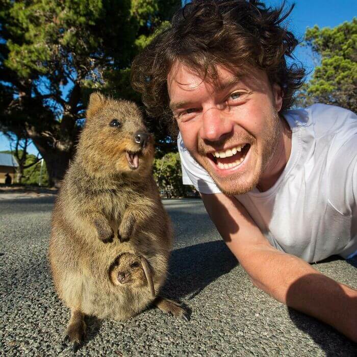 Fotógrafo fica conhecido por ser amigo de todos animais