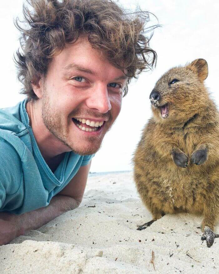 Fotógrafo fica conhecido por ser amigo de todos animais