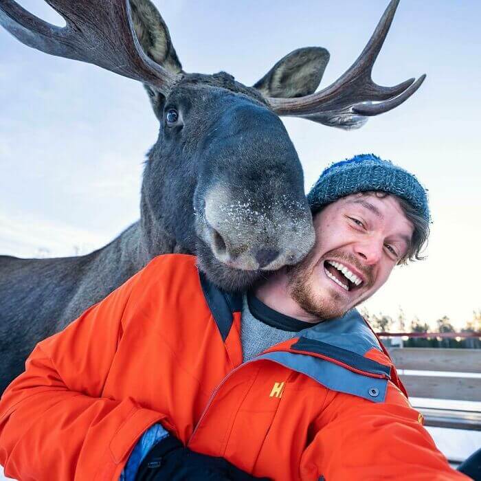 Fotógrafo fica conhecido por ser amigo de todos animais