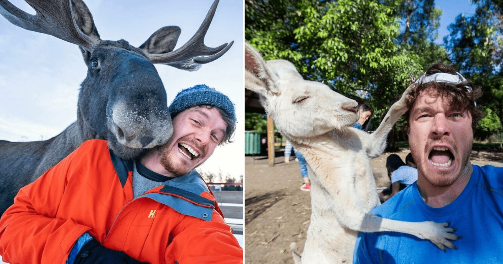 Fotógrafo fica conhecido por ser amigo de todos animais