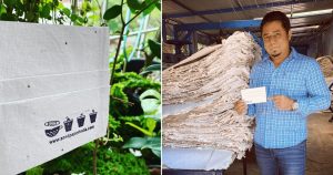 Jovem cria máscaras que viram flores quando descartadas