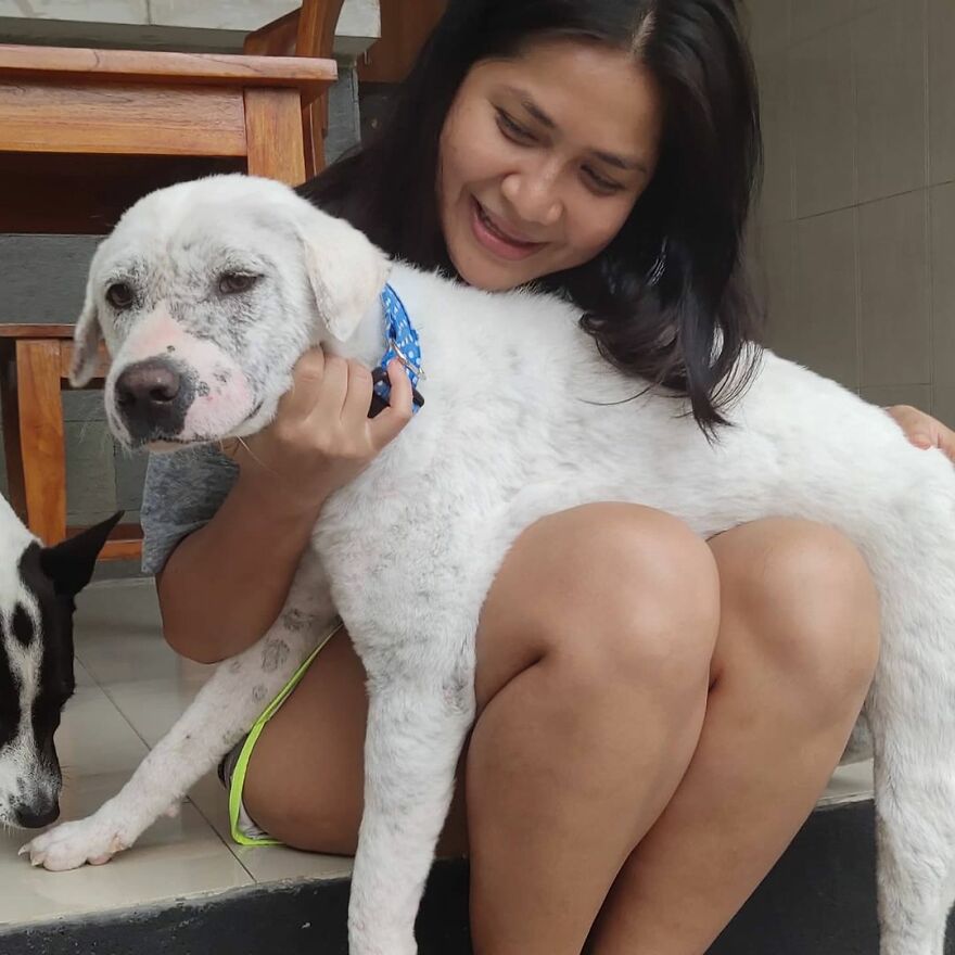 Homem resgata cachorro abandonado com câncer e lhe CURA