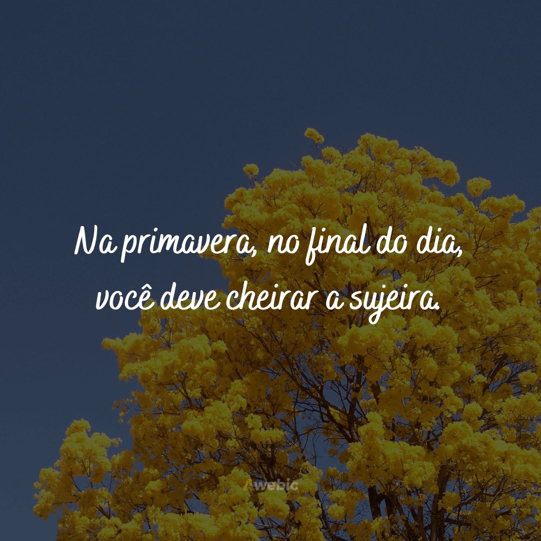 Frases sobre Primavera