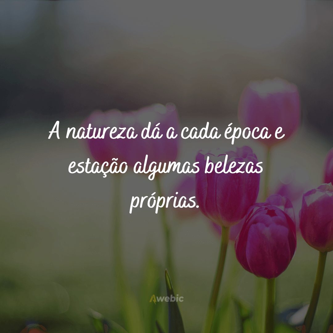 Frases sobre Primavera