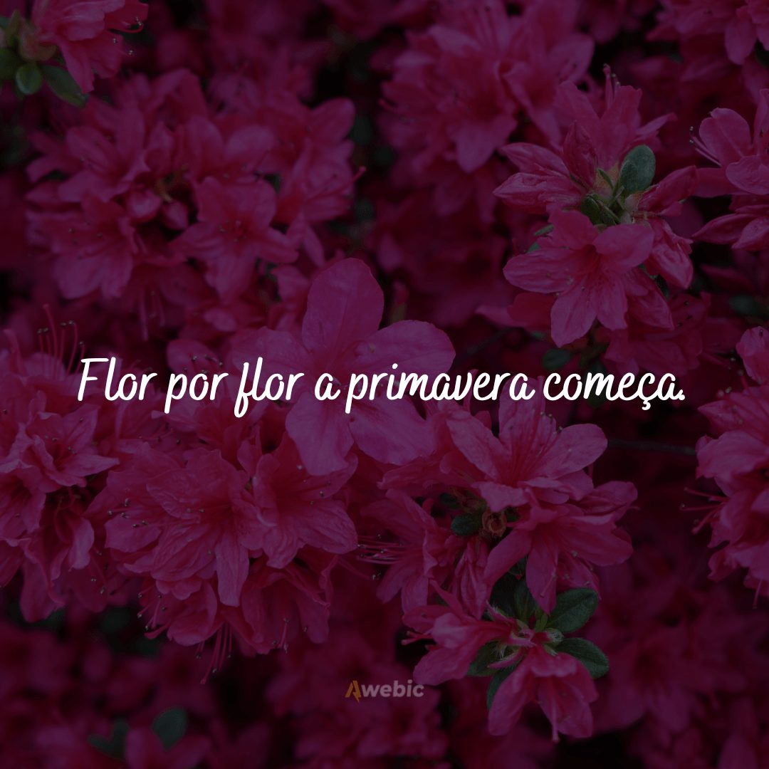 Frases sobre Primavera