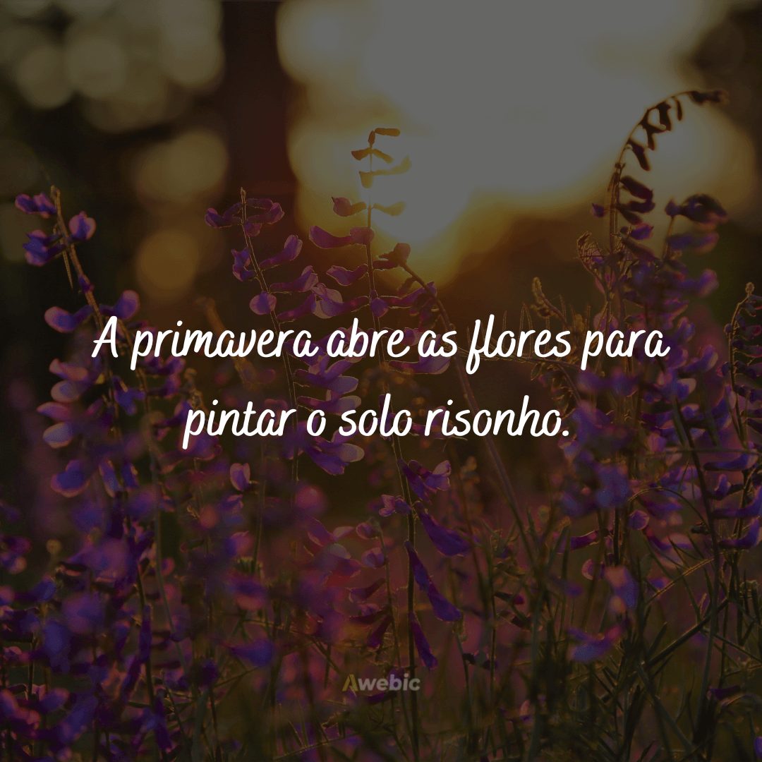 Frases sobre Primavera