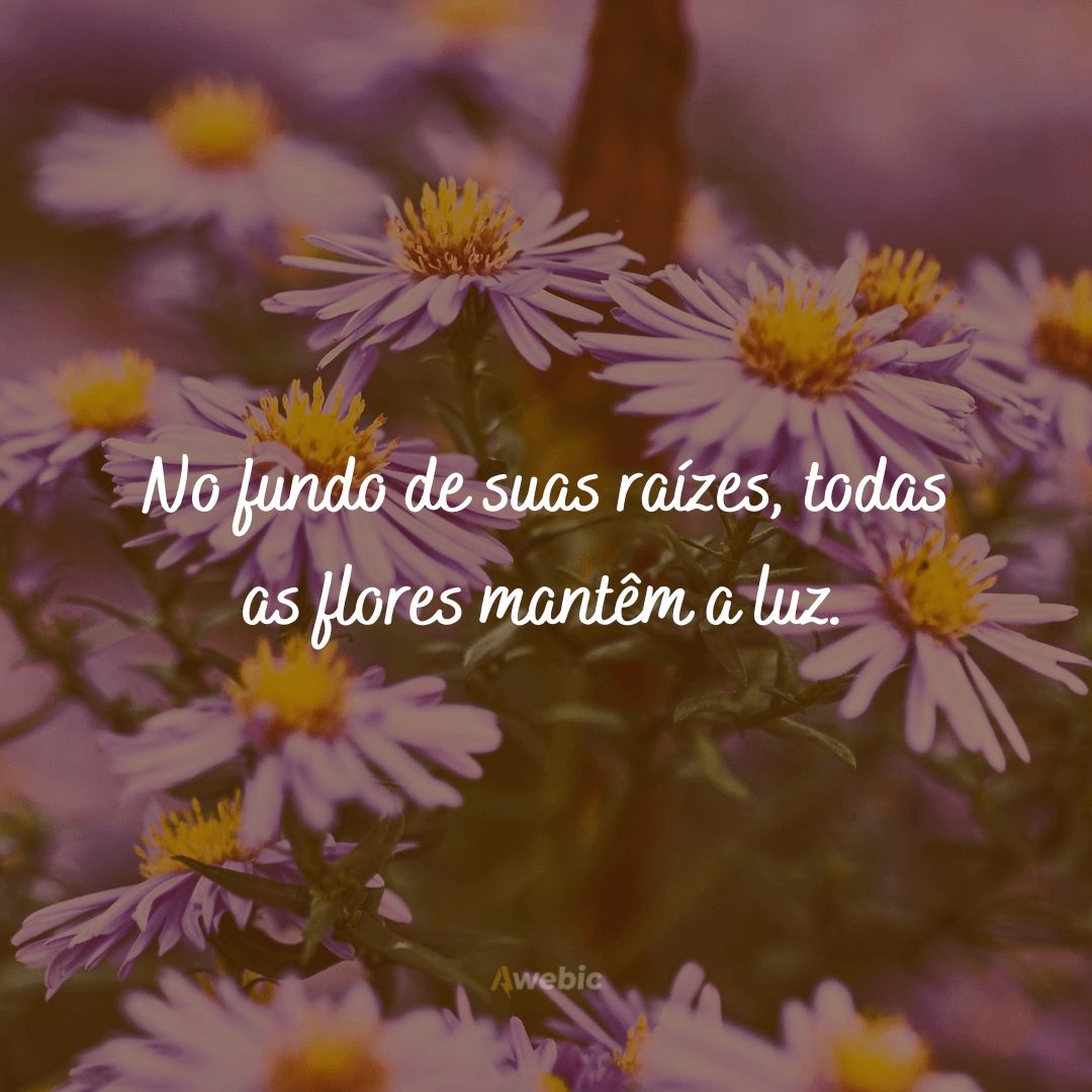 Frases sobre Primavera