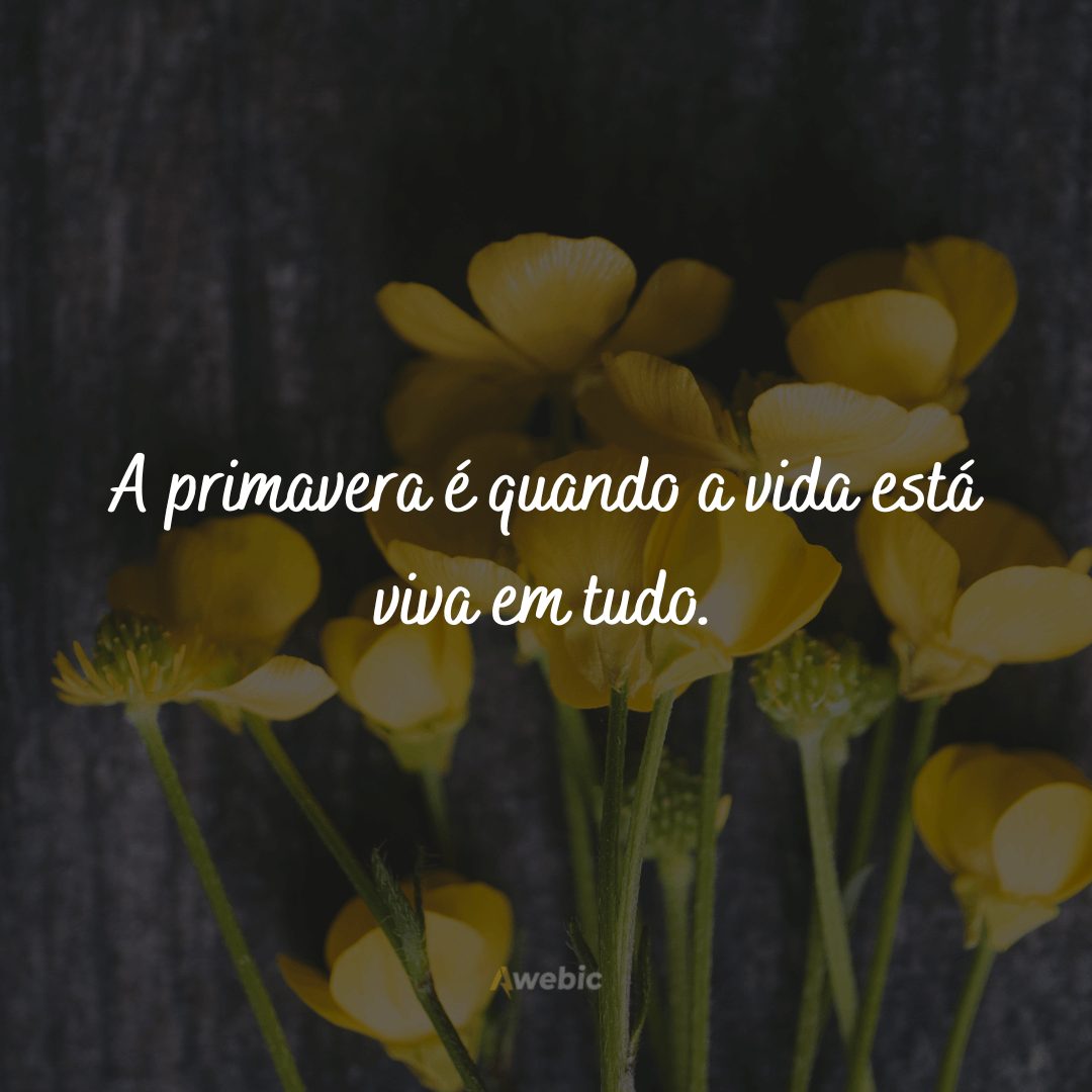 Frases sobre Primavera