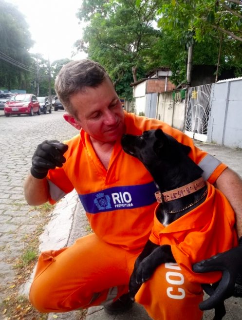 Cachorro acompanha gari em trabalho e se torna funcionário!