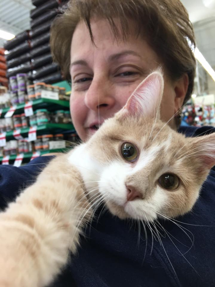 Gato abraça e beija mulher por estar feliz em ser adotado