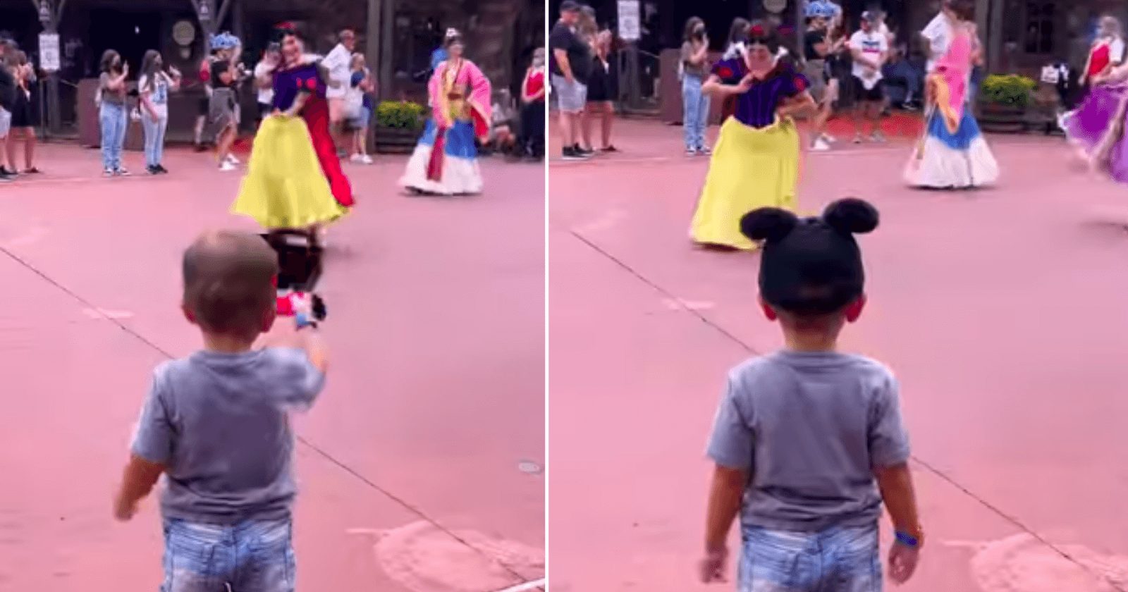 Menino surpreende princesas na Disney com seu cavalheirismo