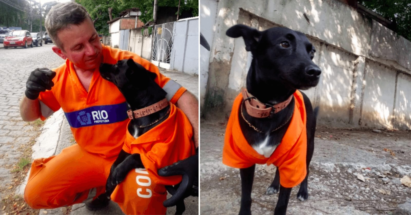 Cachorro acompanha gari em trabalho e se torna funcionário!