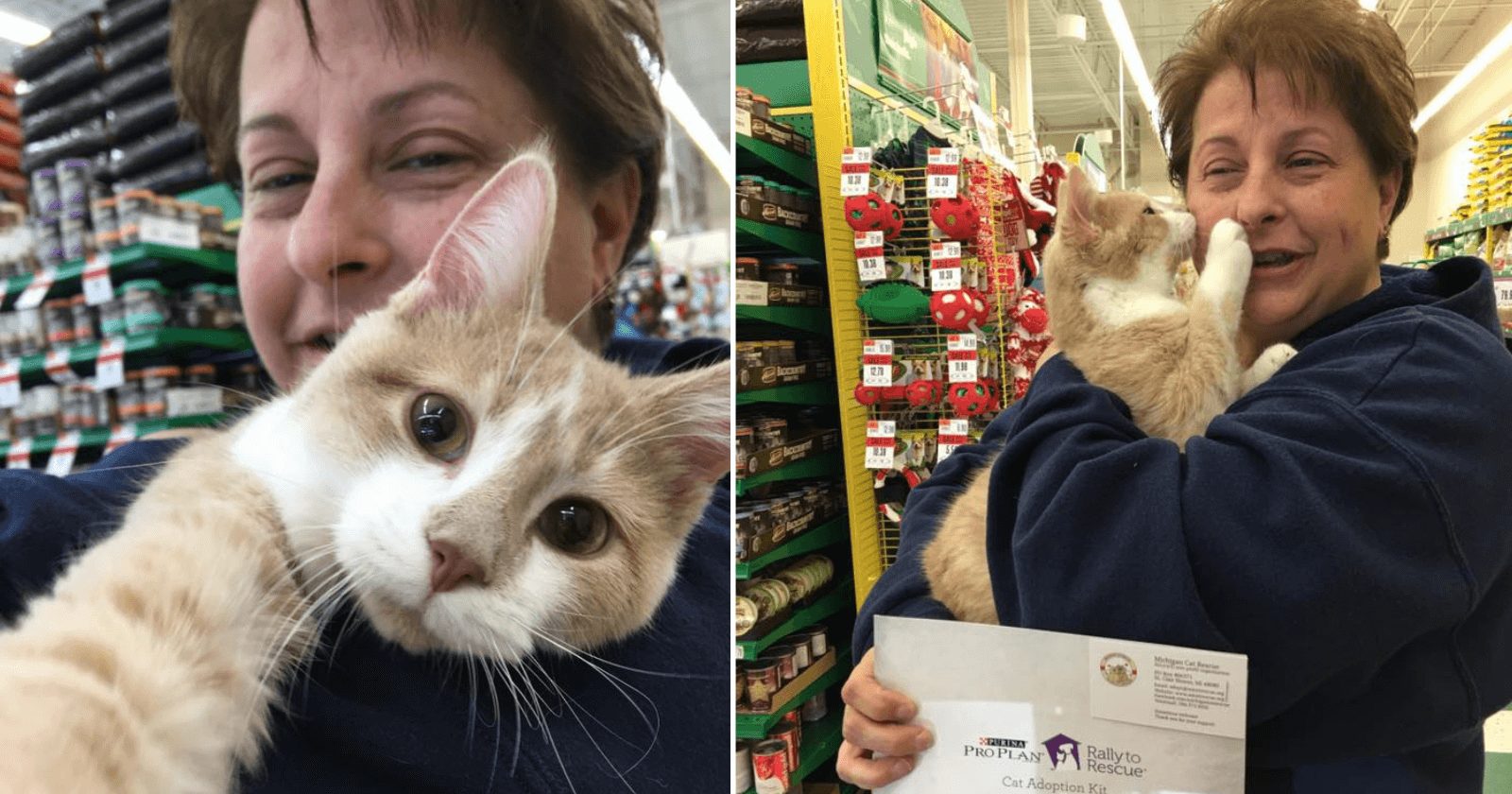 Gato abraça e beija mulher por estar feliz em ser adotado