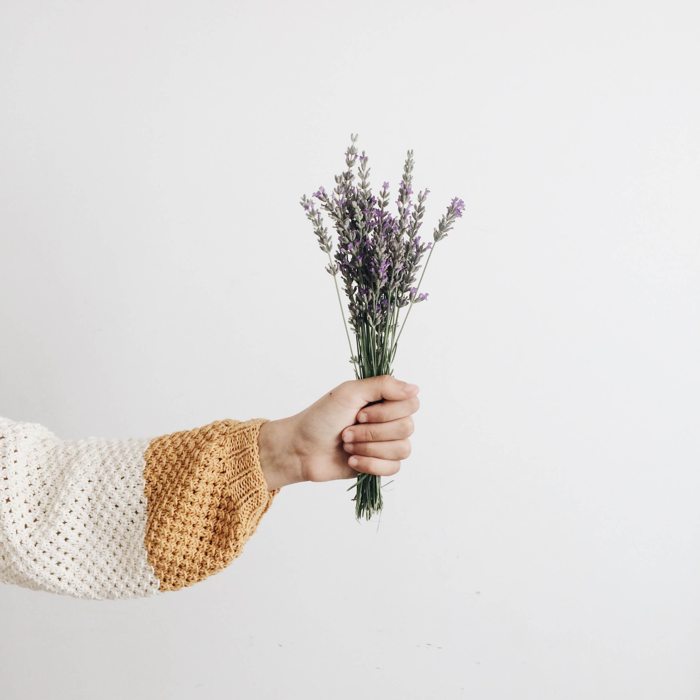 15 flores comuns que conseguem atrair boas energias para dentro da sua casa