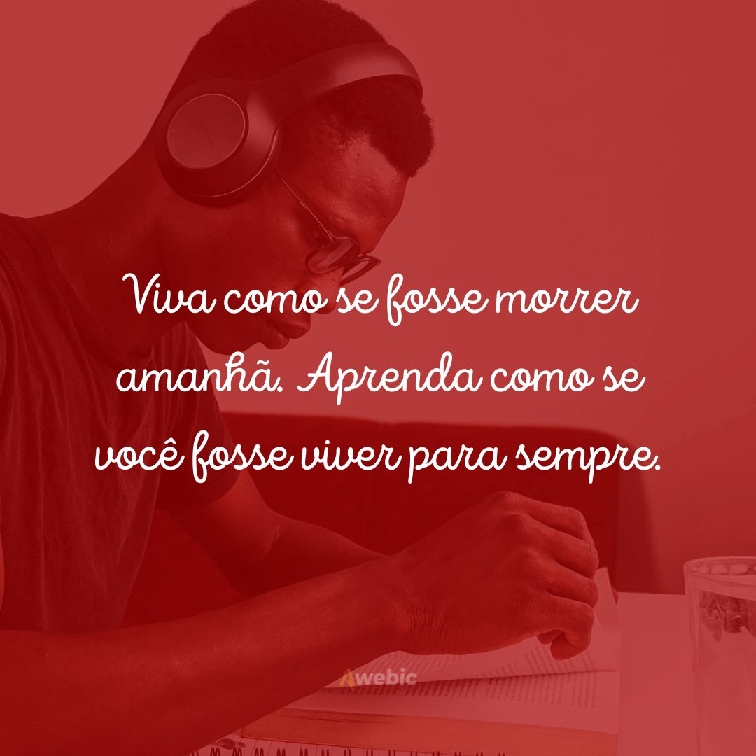 frases de estudo