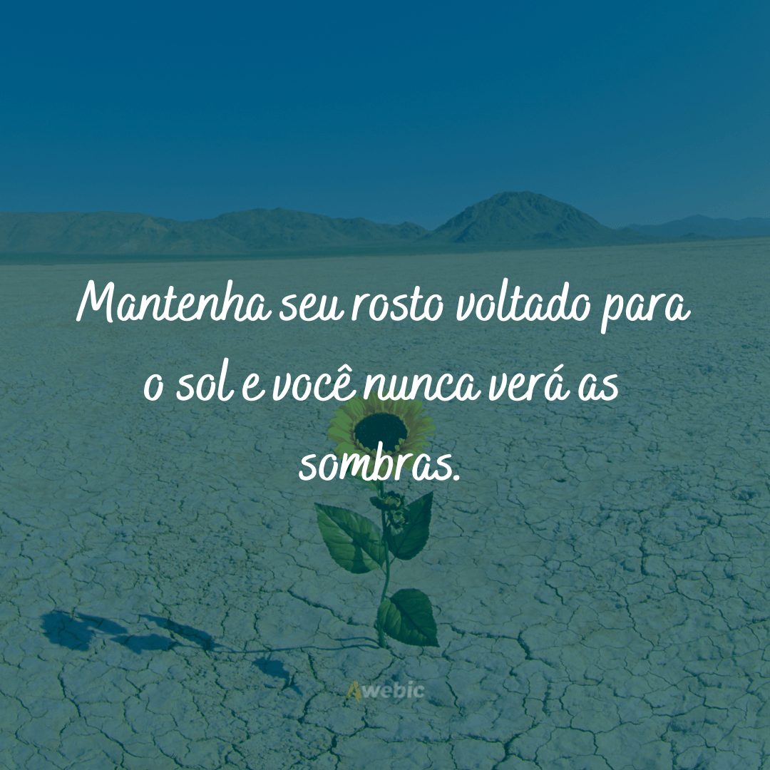 frases do sertão