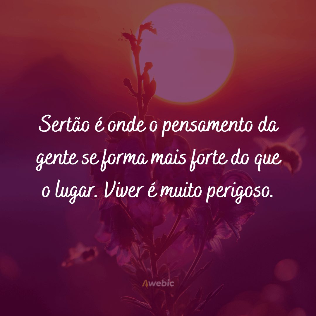 frases do sertão