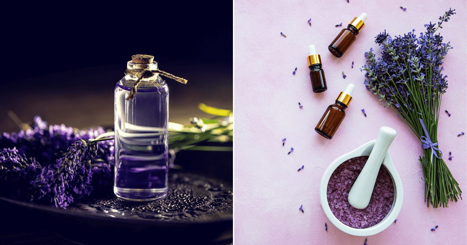 Para que serve o óleo essencial de lavanda? 13 dicas irresistíveis