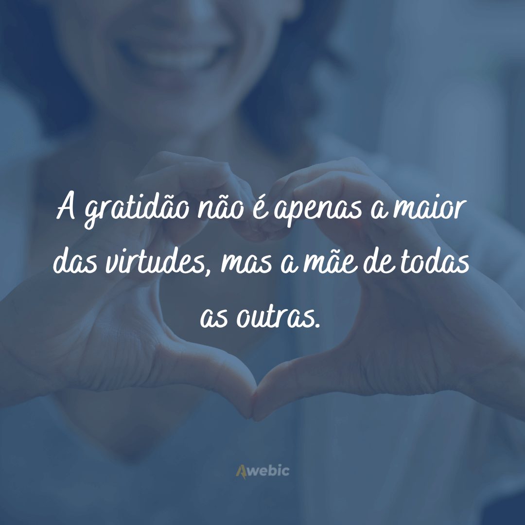 frases de agradecimento e gratidão