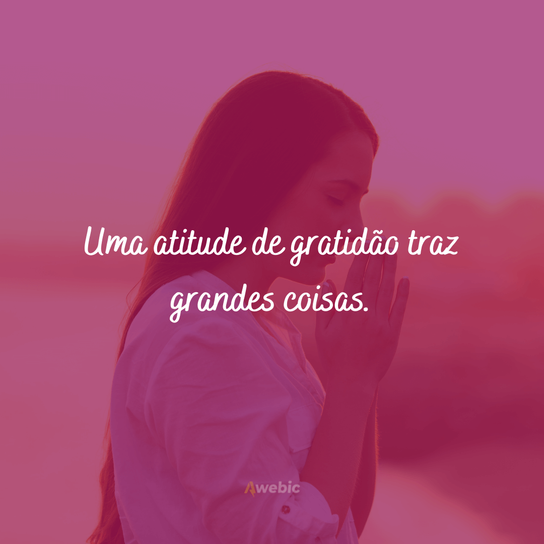 frases de agradecimento e gratidão