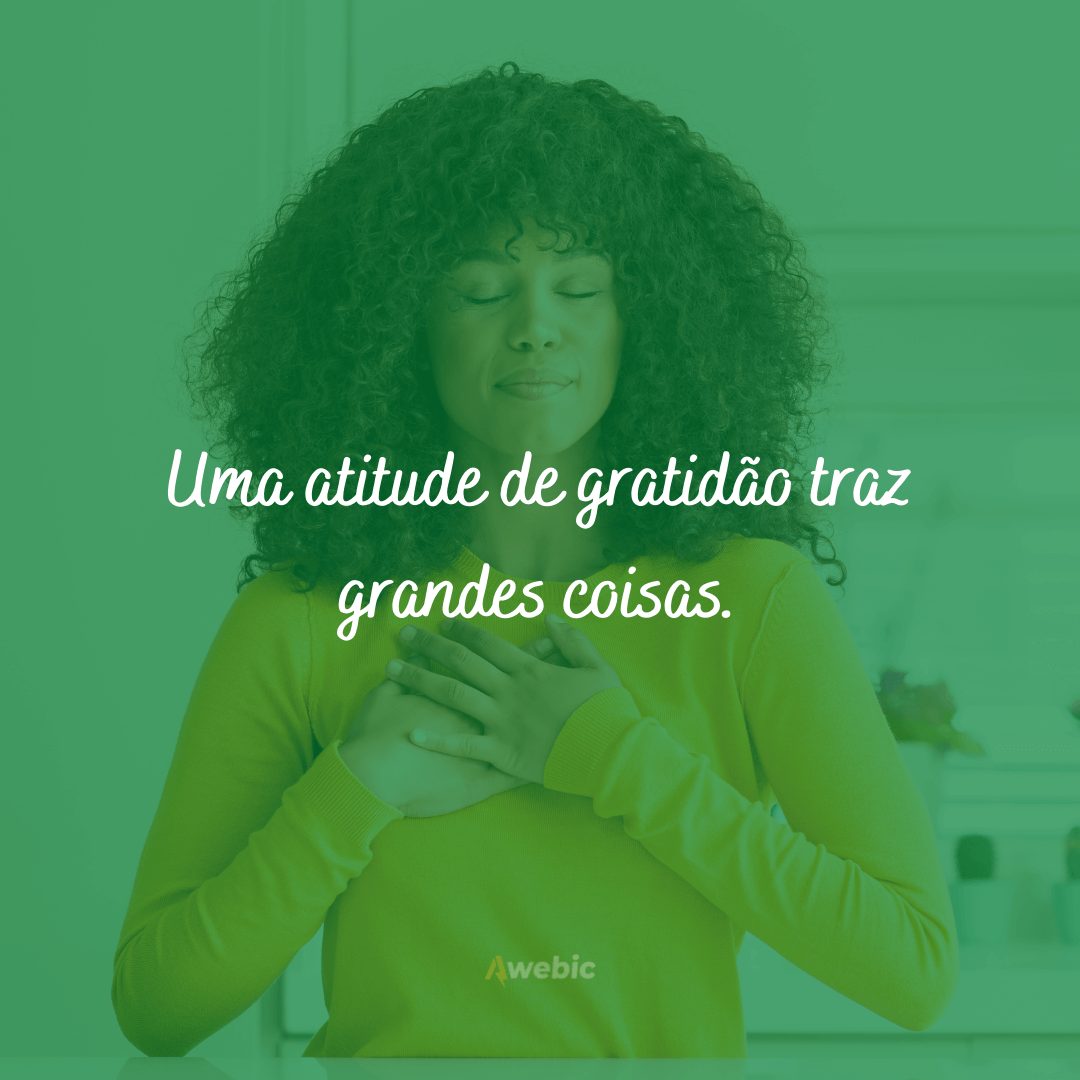 frases de agradecimento e gratidão