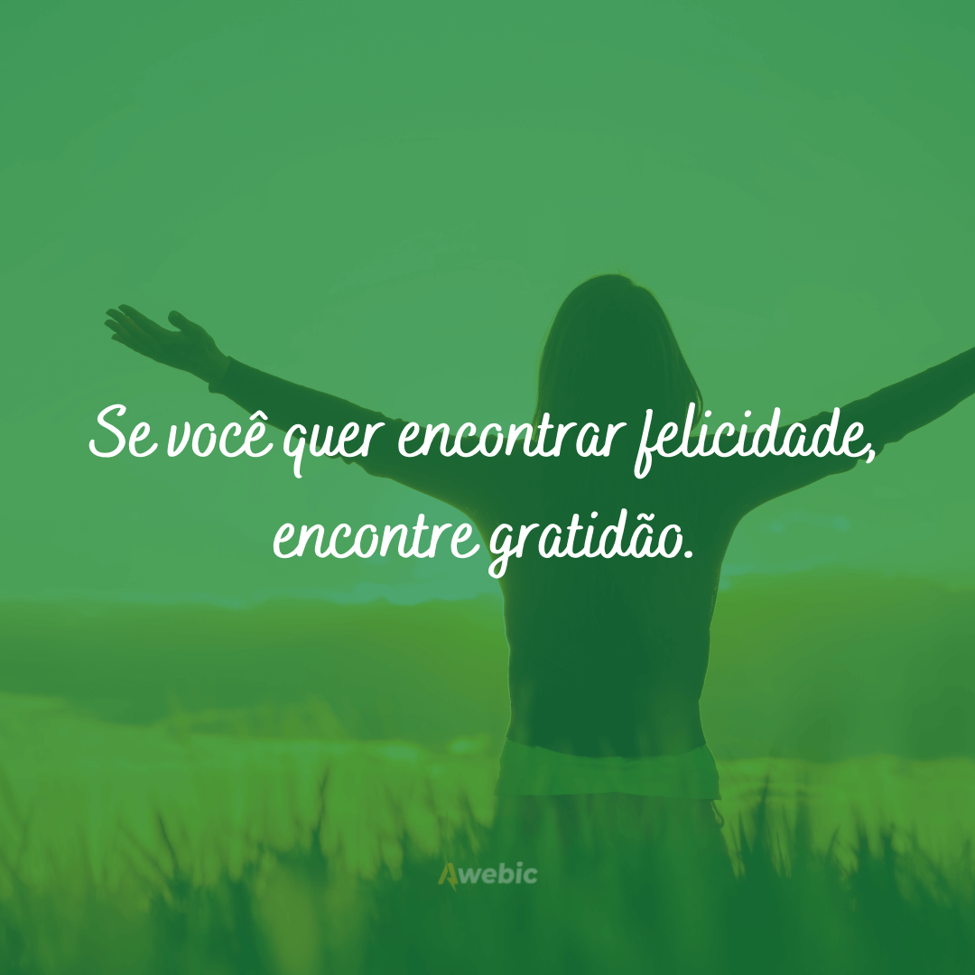 frases de agradecimento e gratidão