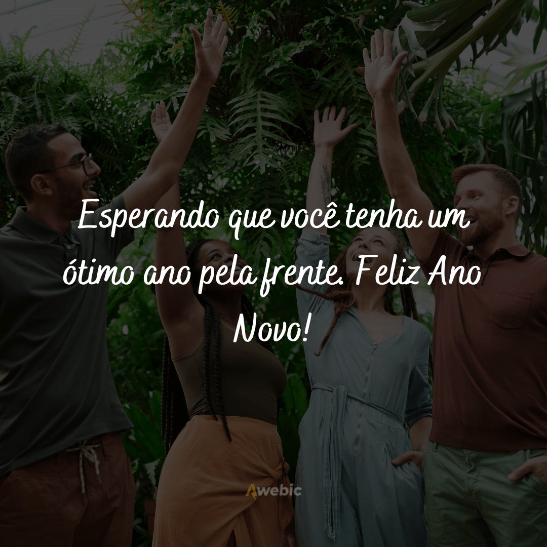 Frases de Ano Novo para Amigos