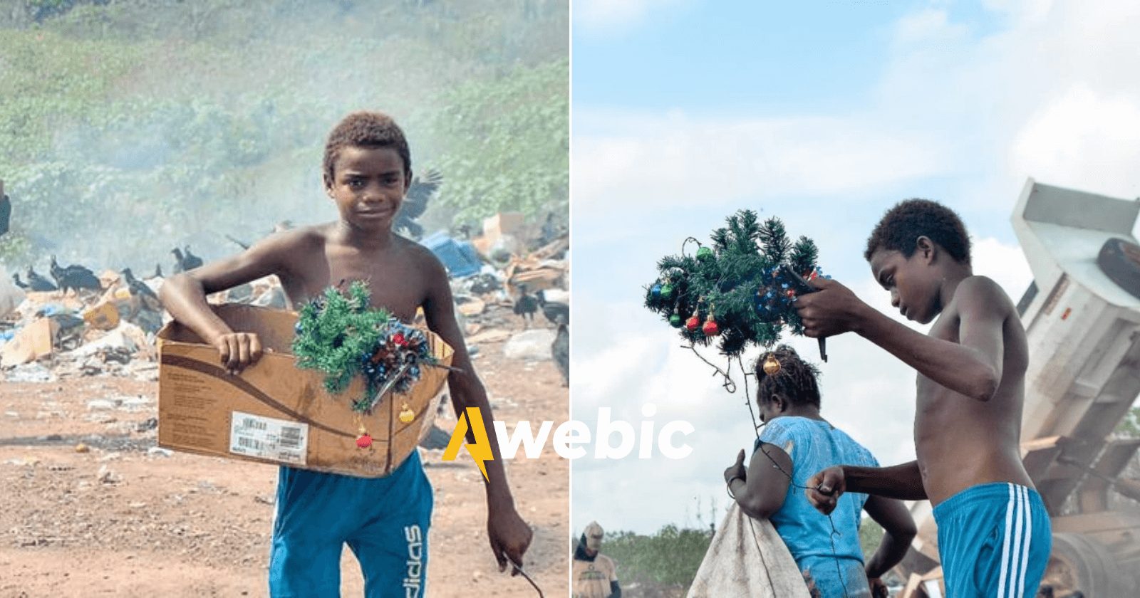 Menino fotografado com árvore de Natal em lixão é acolhido por desconhecidos