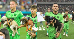 Jogadores entram em campo com cachorros para incentivar adoção