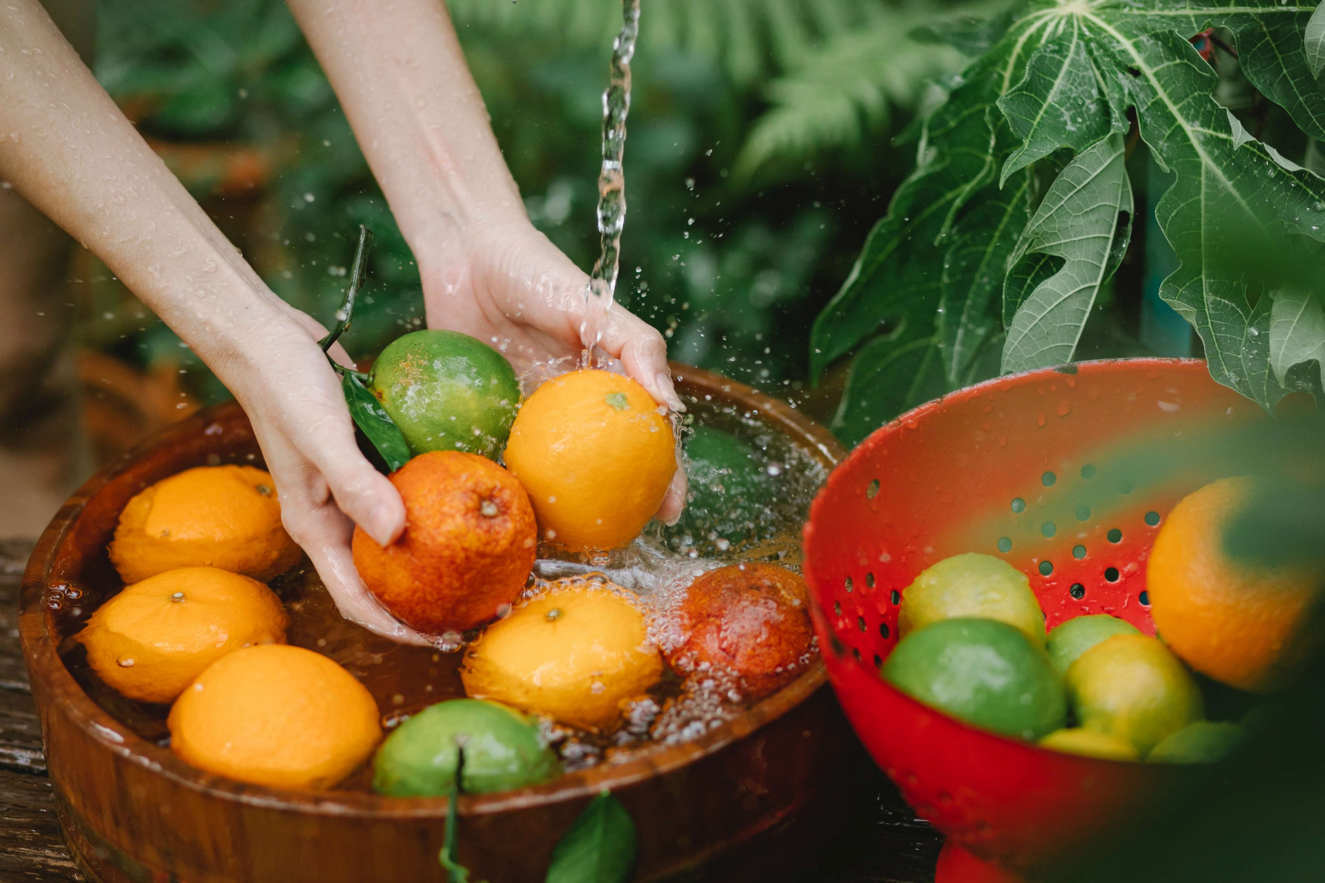 lavados as frutas e legumes