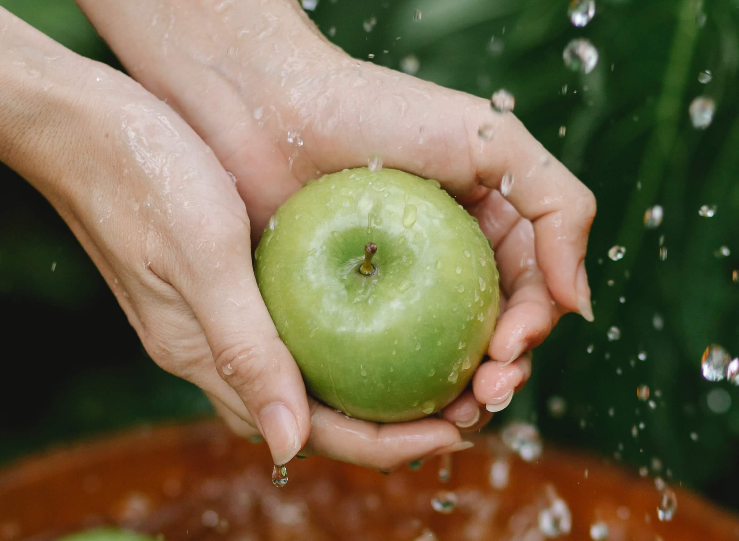 lavados as frutas e legumes