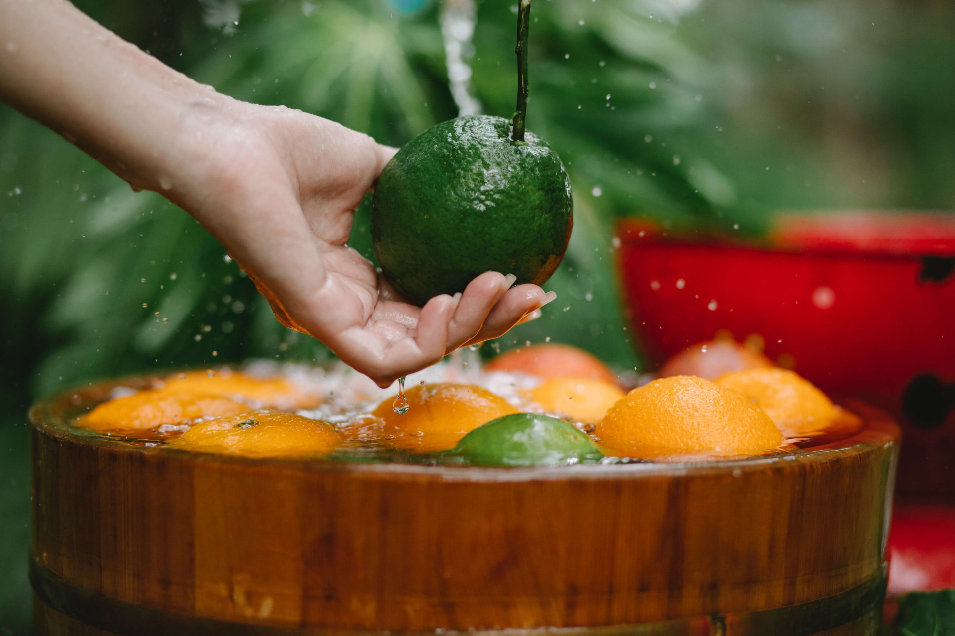 lavados as frutas e legumes