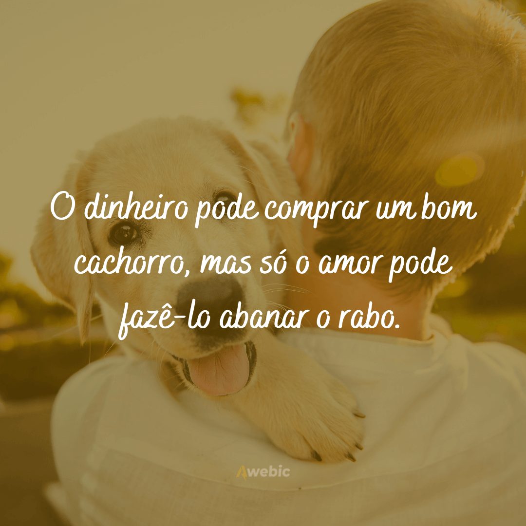 frases de amor para cachorro