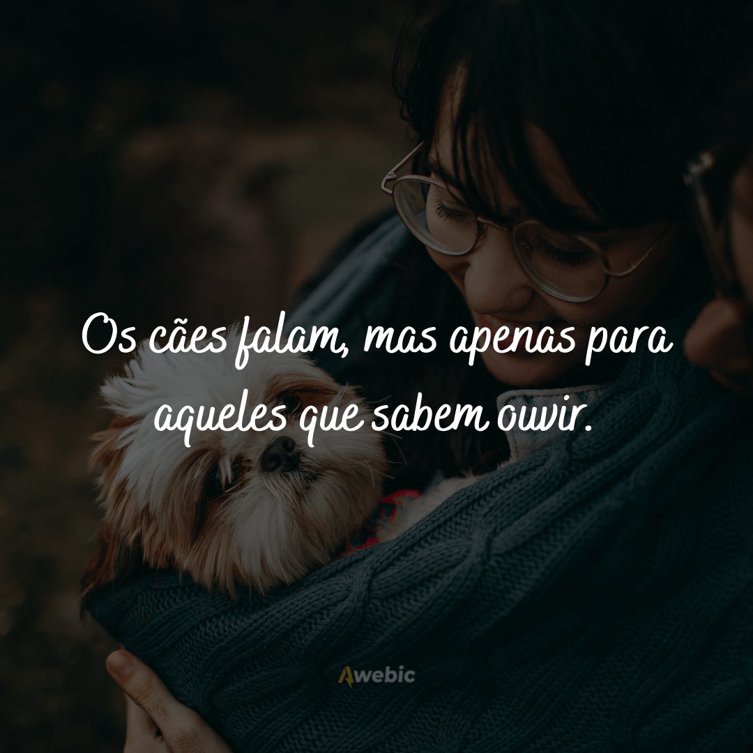 frases de amor para cachorro