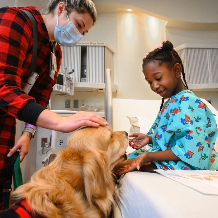 Hospital surpreende crianças no Natal com visitas de cachorros 