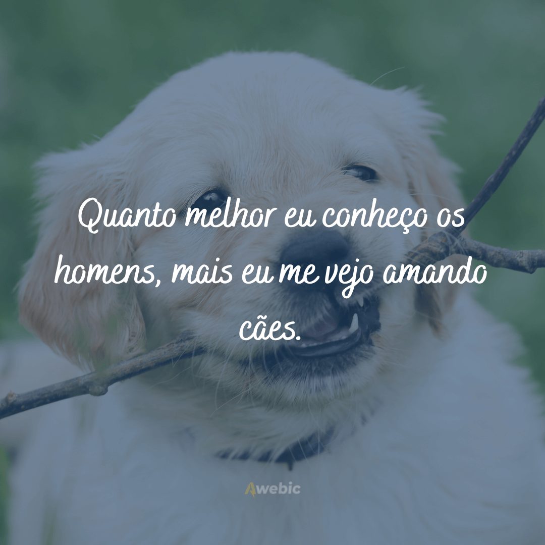 frases de amor para cachorro