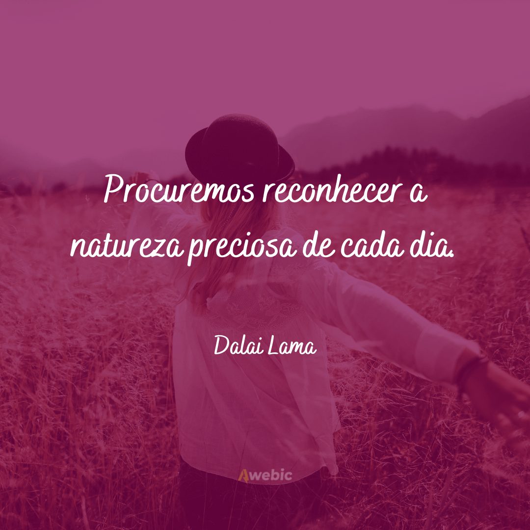 frases do Dalai Lama