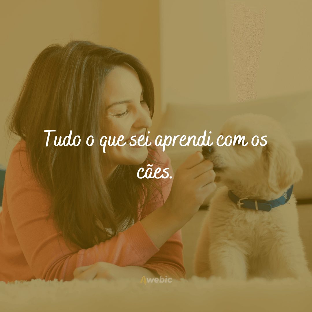 frases de amor para cachorro