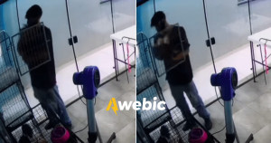 Funcionário é flagrado em dancinha fofa com cadela no pet shop