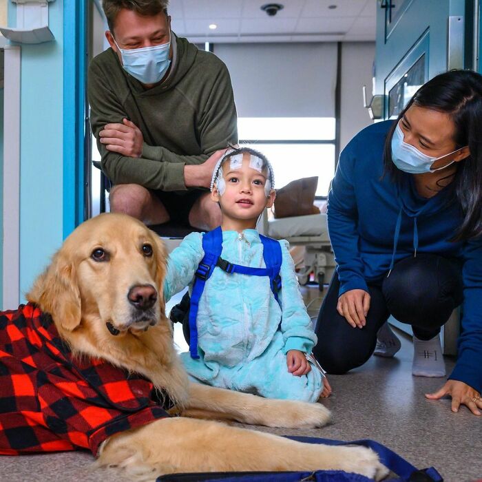 Hospital surpreende crianças no Natal com visitas de cachorros 