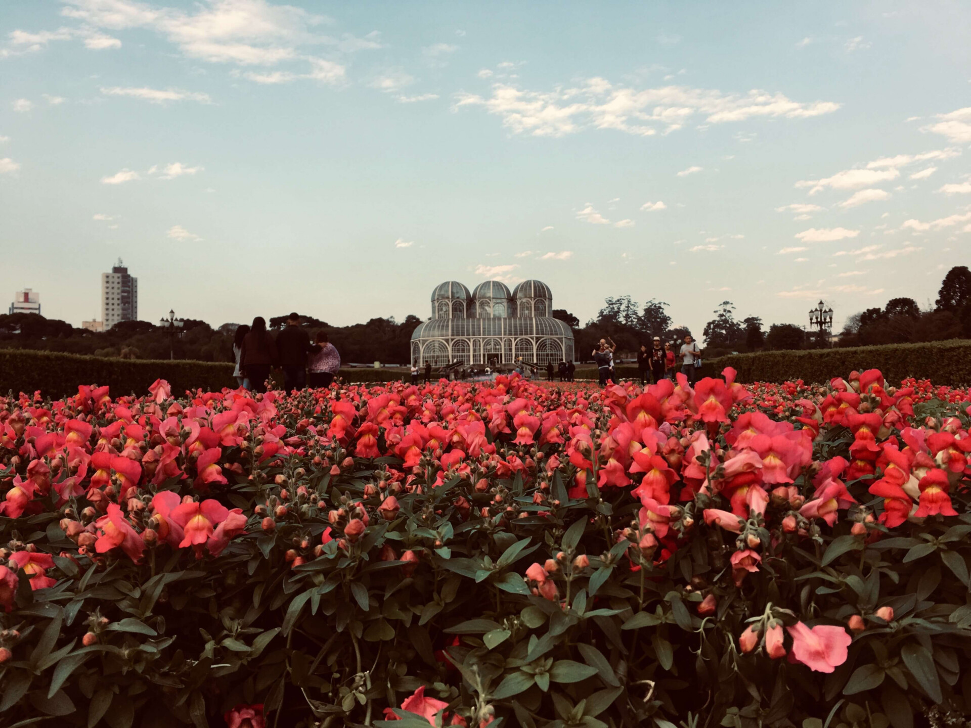 ANOTE: você precisa visitar ESSE LUGAR em Curitiba