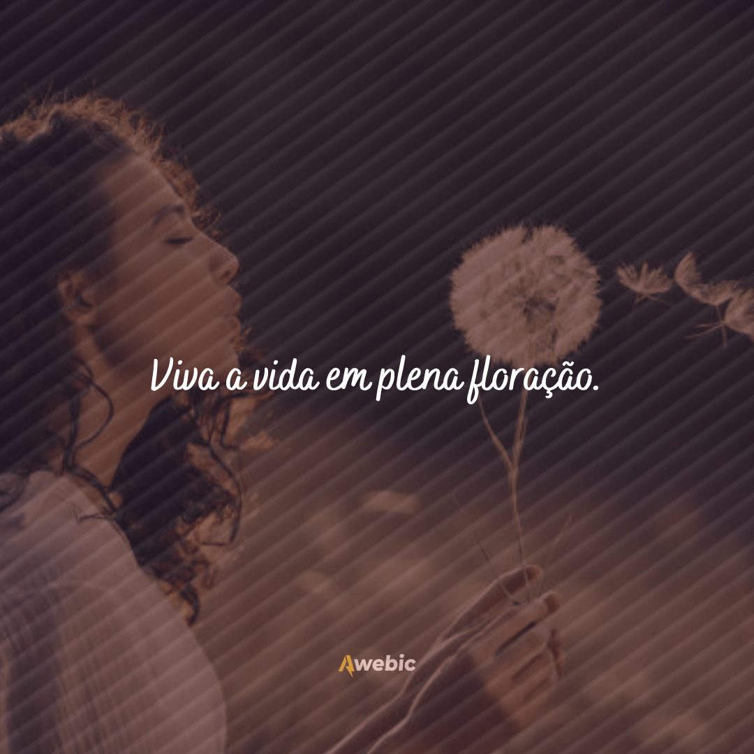 frases para fotos com flores que são as melhores legendas