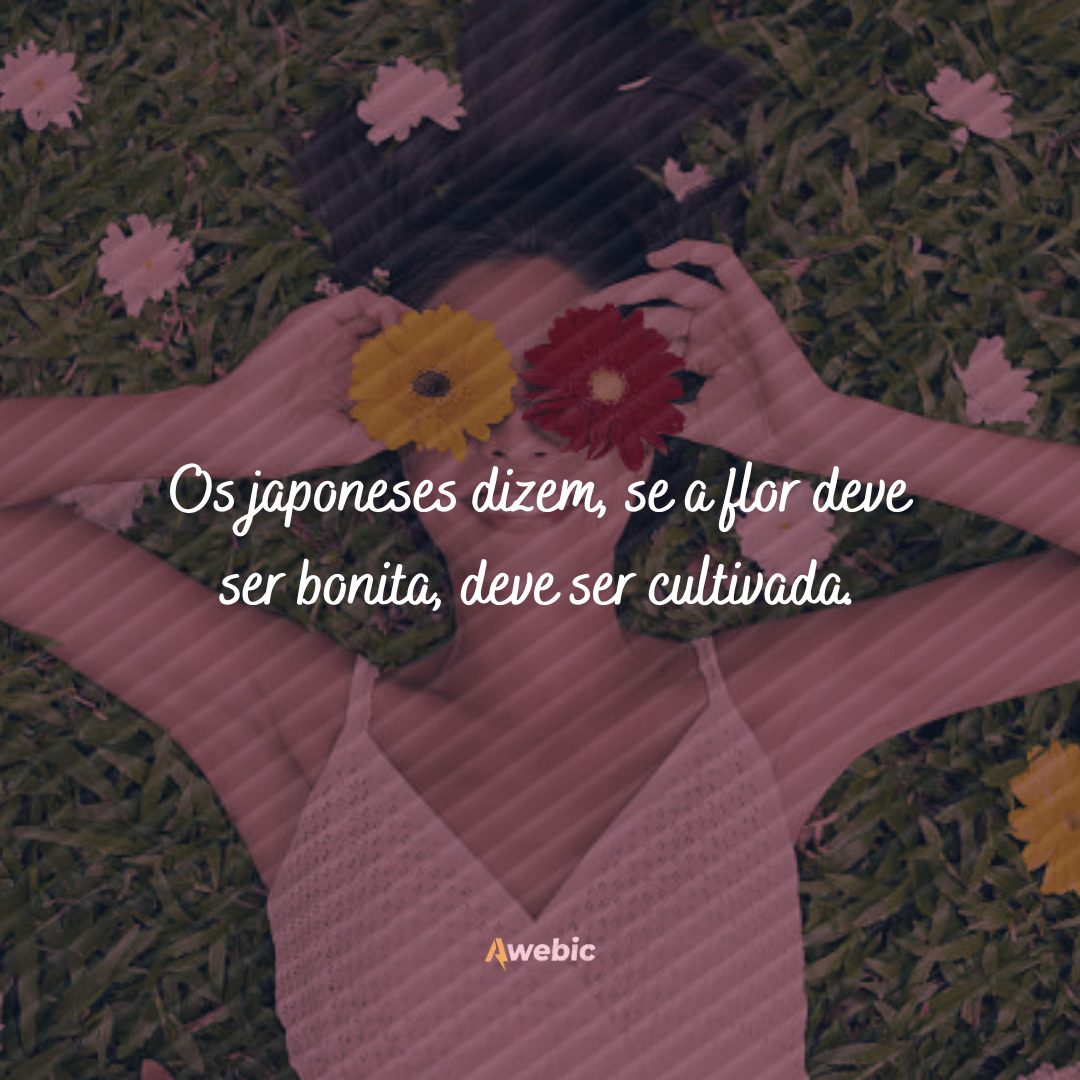 frases para fotos com flores que são as melhores legendas