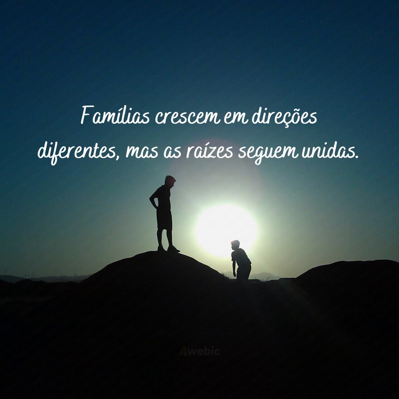 frases-para-primo