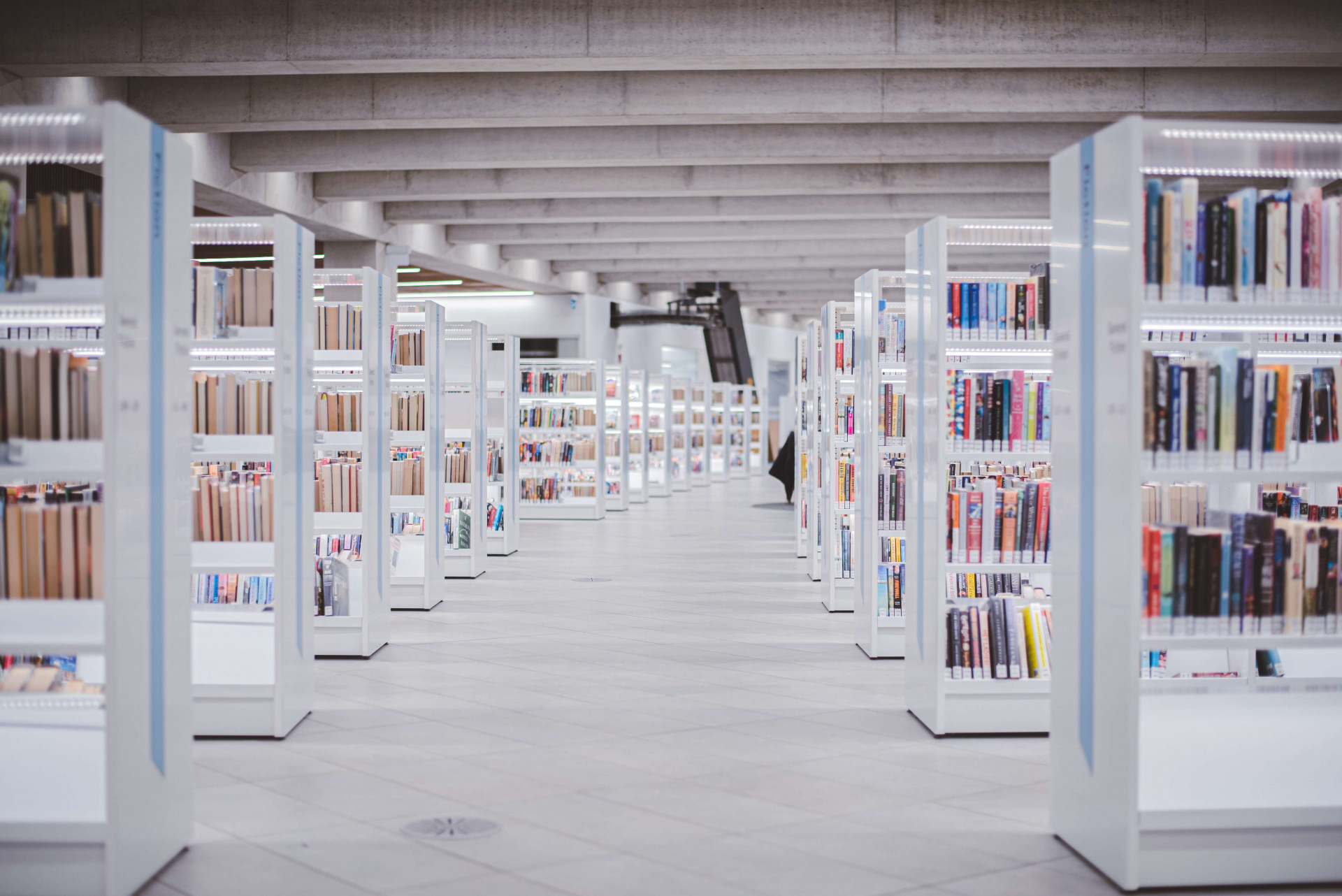 13 livrarias em Manaus para quem procura por leituras e papelarias