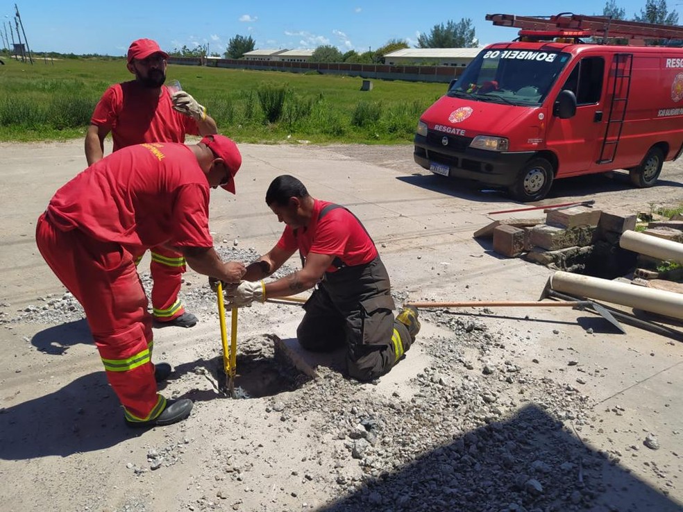 Bombeiros fazem resgate sinistro e tiram cachorro debaixo de concreto