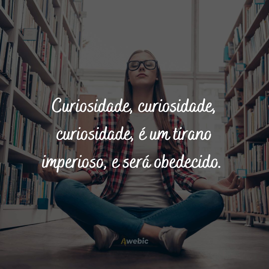 Frases para apaixonados por curiosidades